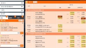 파니클-조합배팅-테니스